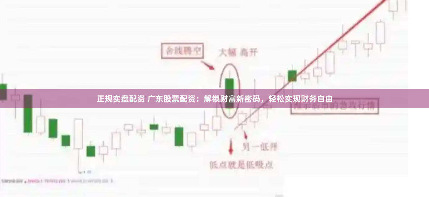 正规实盘配资 广东股票配资：解锁财富新密码，轻松实现财务自由