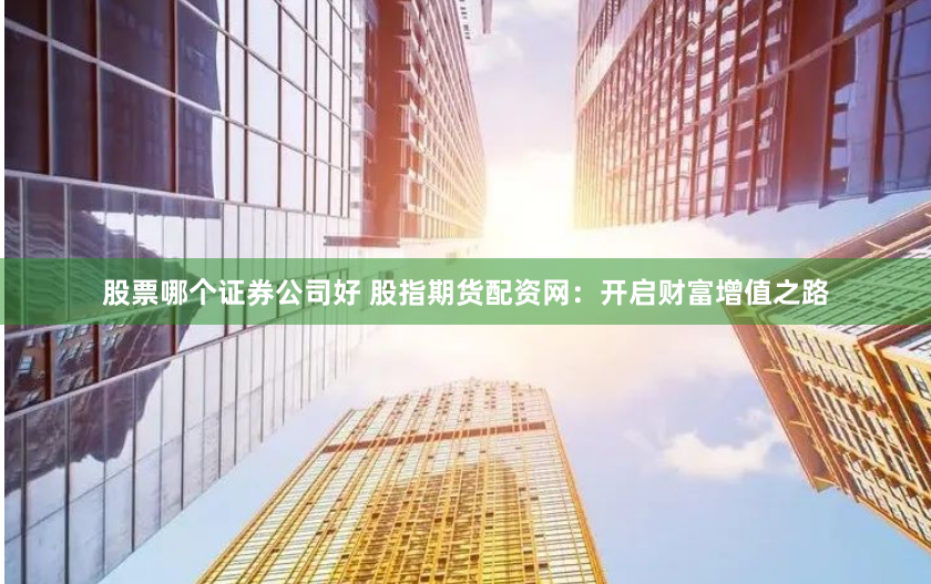 股票哪个证券公司好 股指期货配资网：开启财富增值之路
