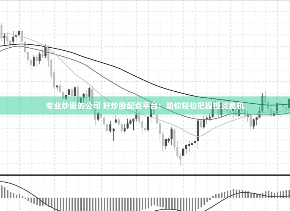 专业炒股的公司 好炒股配资平台：助你轻松把握投资良机