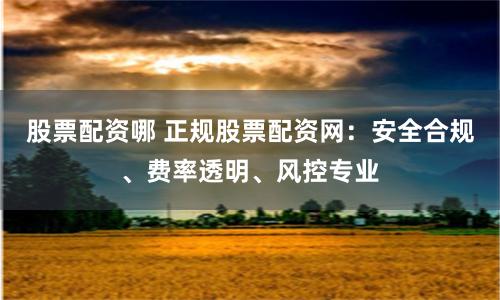 股票配资哪 正规股票配资网：安全合规、费率透明、风控专业
