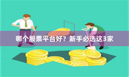 哪个股票平台好？新手必选这3家